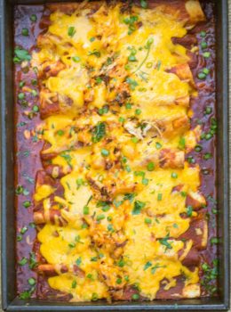 Classic Chicken Enchiladas made with homemade enchilada sauce, shredded chicken, cheddar cheese and a creamy sour cream sauce makes the perfect weeknight dinner.