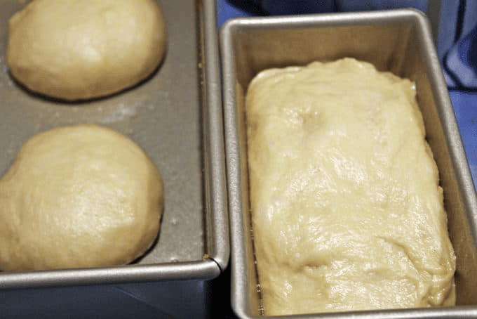 shaped homemade dough