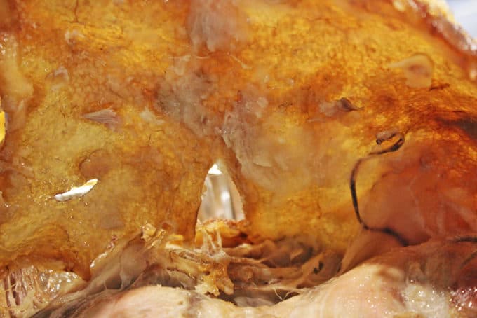 Close up of pork skin