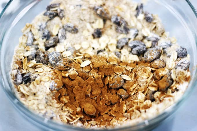 Homemade ice cream mixture with raisins