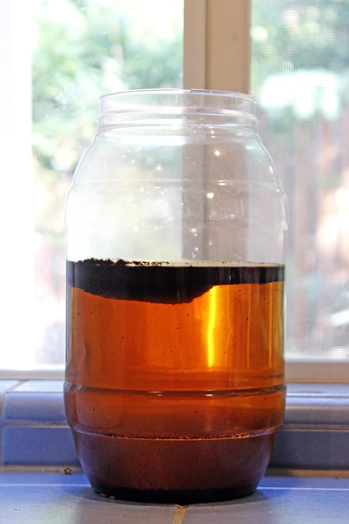 Iced Sea Salt Coffee (Cold Brewed) Recipe Dinner, then Dessert