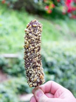 Disney Chocolate Covered Frozen Bananas are a popular treat inside the parks, at amusement parks and beaches across the world. Frozen Bananas dipped in melted homemade chocolate magic shell and covered in peanuts. The perfect slightly healthy treat!