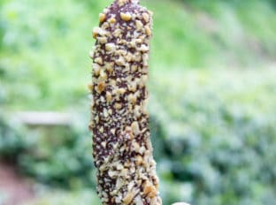 Disney Chocolate Covered Frozen Bananas are a popular treat inside the parks, at amusement parks and beaches across the world. Frozen Bananas dipped in melted homemade chocolate magic shell and covered in peanuts. The perfect slightly healthy treat!