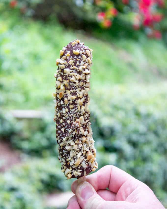 Disney Chocolate Covered Frozen Bananas are a popular treat inside the parks, at amusement parks and beaches across the world. Frozen Bananas dipped in melted homemade chocolate magic shell and covered in peanuts. The perfect slightly healthy treat!