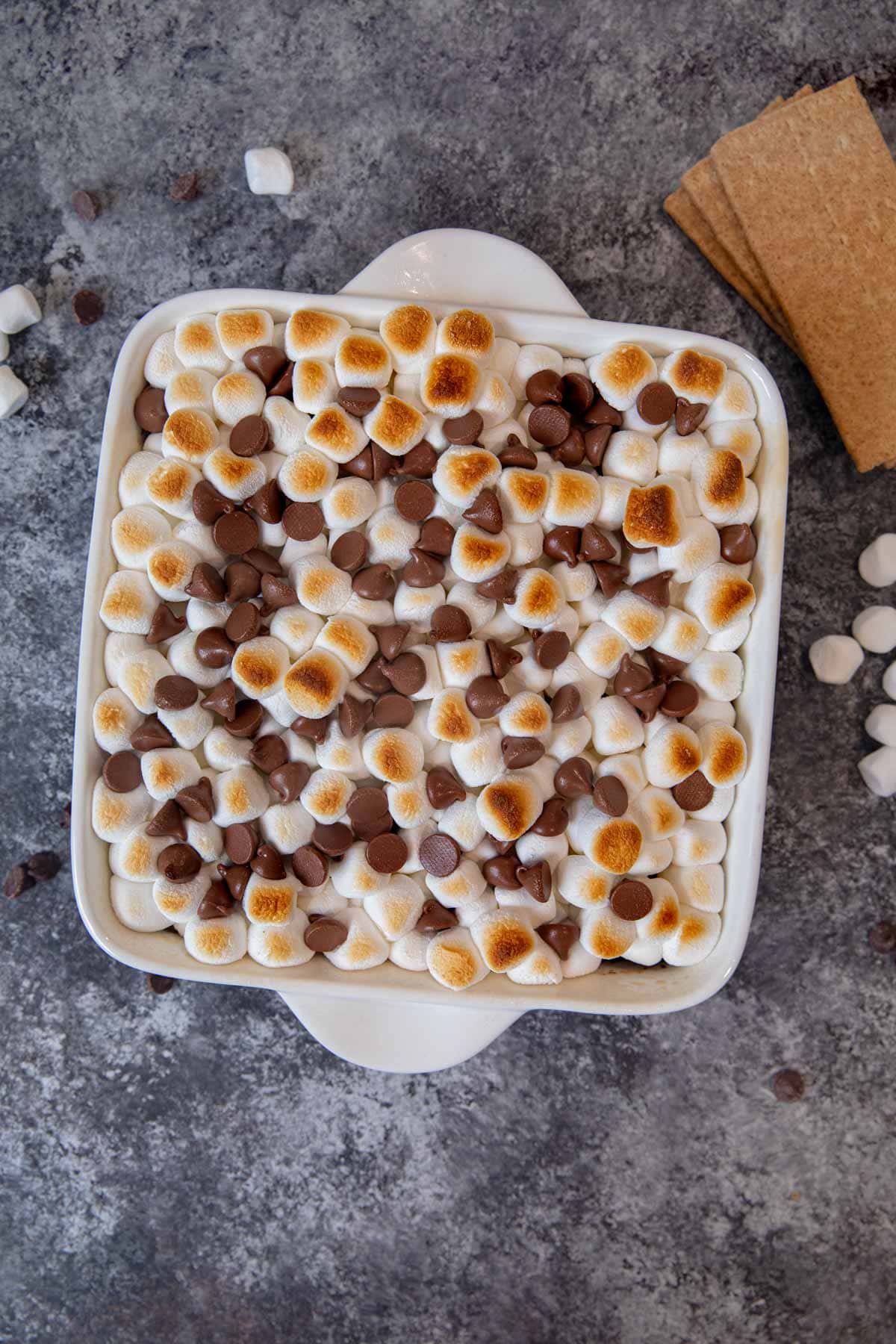 S'mores Brownies with toasted marshmallows and chocolate chips