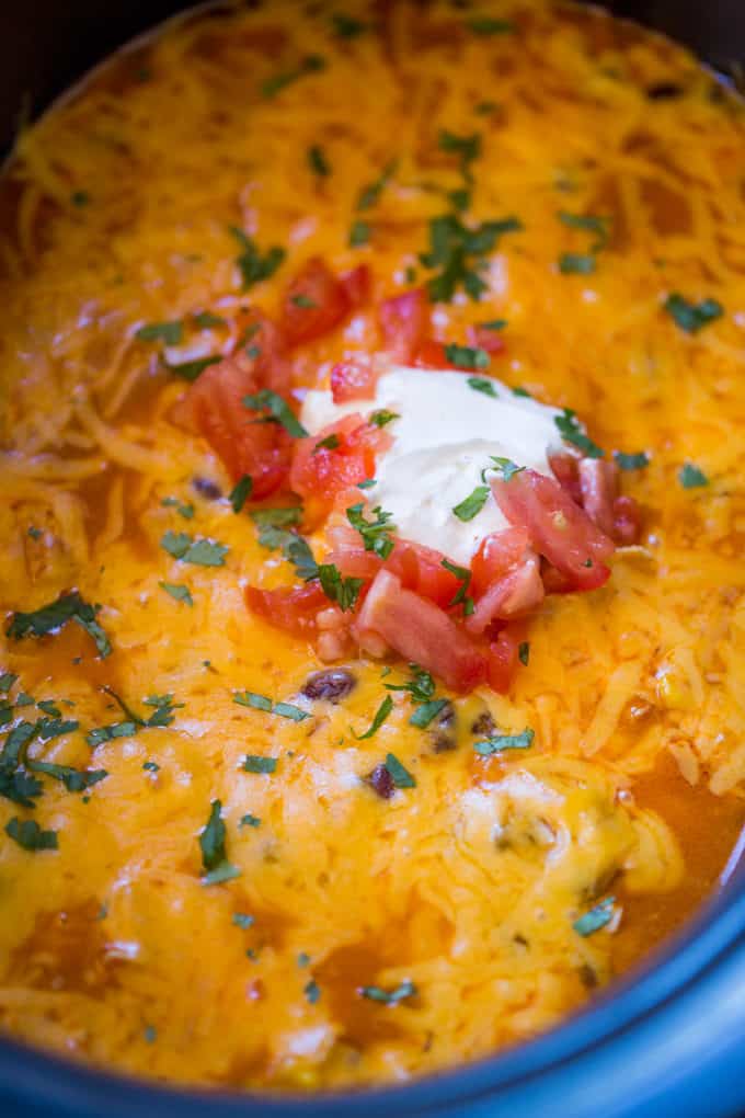 Slow Cooker Chicken Enchilada Dip takes just five minutes of prep with raw chicken, enchilada sauce and veggies topped with a bunch of deliciously melty cheddar cheese.