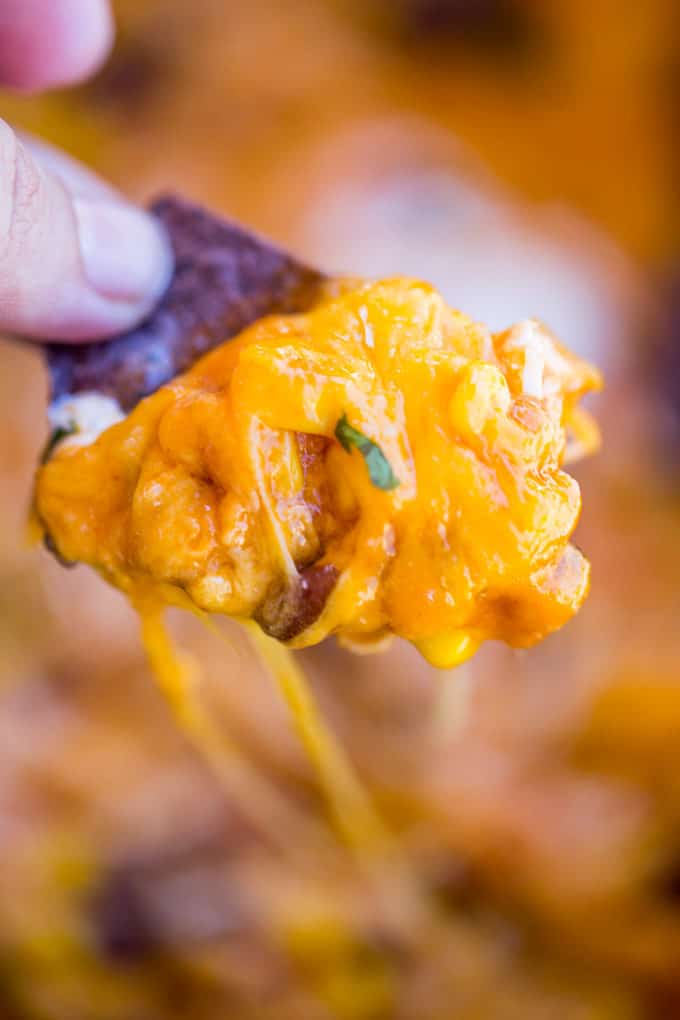 Slow Cooker Chicken Enchilada Dip takes just five minutes of prep with raw chicken, enchilada sauce and veggies topped with a bunch of deliciously melty cheddar cheese.