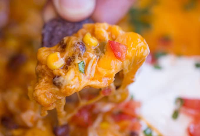 Slow Cooker Chicken Enchilada Dip takes just five minutes of prep with raw chicken, enchilada sauce and veggies topped with a bunch of deliciously melty cheddar cheese.