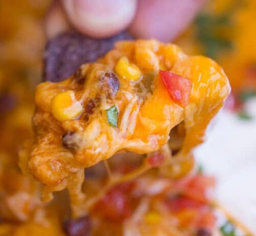 chip dipped in chicken enchilada dip