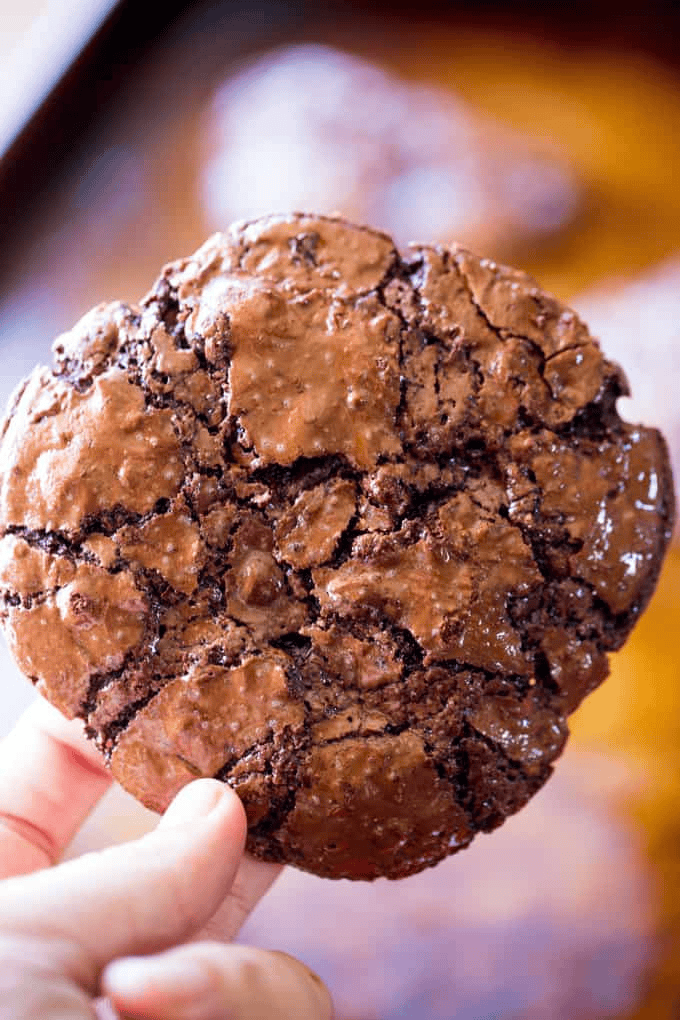 Hand holding chocolate cookie up