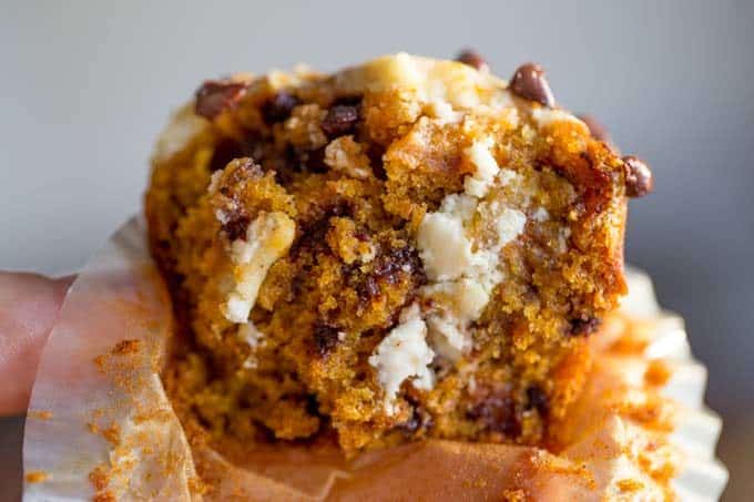 Chocolate Chip Pumpkin Cream Cheese Muffins are the perfect coffee shop or bakery style treat you'll love all year round, full of tangy, sweet and warm flavors.