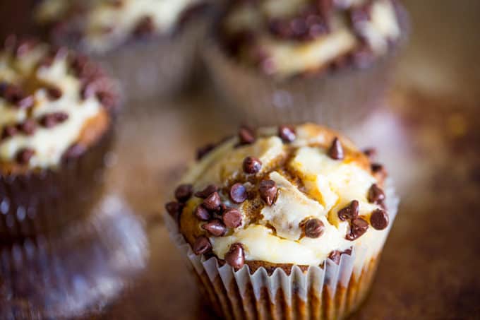 Chocolate Chip Pumpkin Cream Cheese Muffins are the perfect coffee shop or bakery style treat you'll love all year round, full of tangy, sweet and warm flavors.