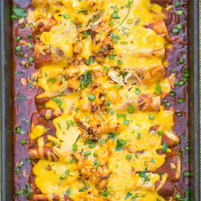 Classic Chicken Enchiladas made with homemade enchilada sauce, shredded chicken, cheddar cheese and a creamy sour cream sauce makes the perfect weeknight dinner.