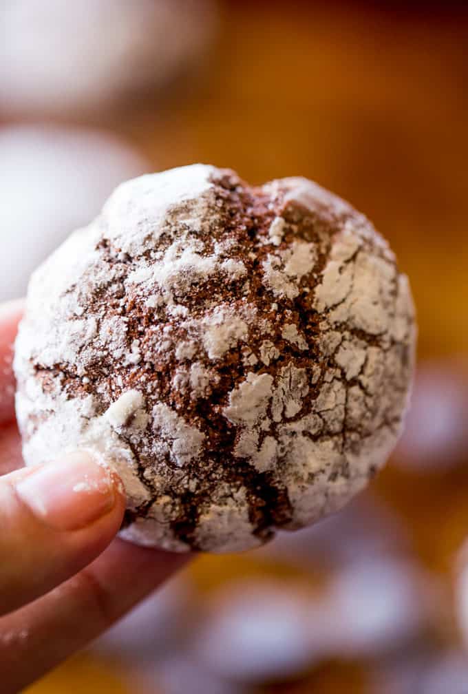 Dark Chocolate Crinkle Cookies are a holiday classic made with cocoa powder and melted dark chocolate are the chewiest and fudgiest cookies you'll make for your Christmas exchange this year!