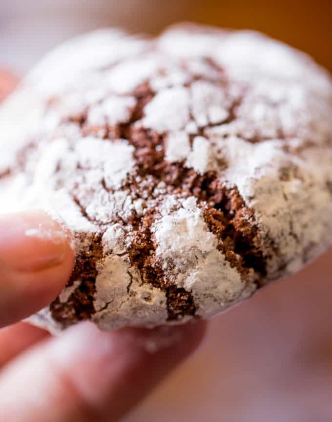 Dark Chocolate Crinkle Cookies are a holiday classic made with cocoa powder and melted dark chocolate are the chewiest and fudgiest cookies you'll make for your Christmas exchange this year!