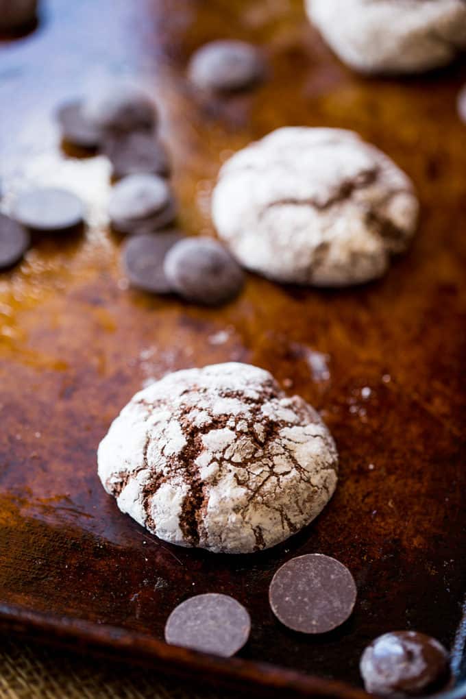 Dark Chocolate Crinkle Cookies are a holiday classic made with cocoa powder and melted dark chocolate are the chewiest and fudgiest cookies you'll make for your Christmas exchange this year!