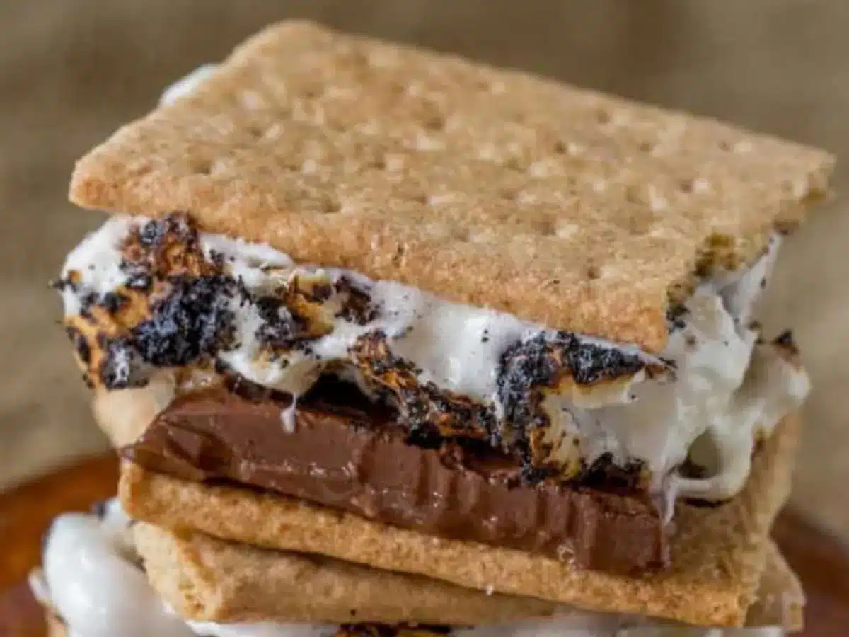 close up of a chocolate marshmallow sandwich 