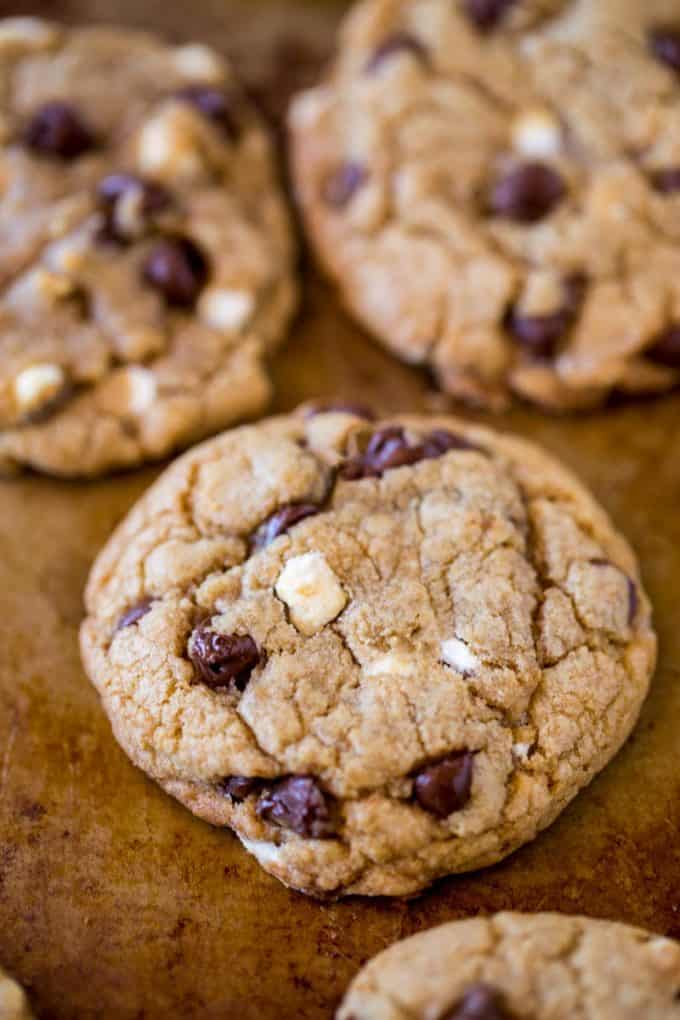 We LOVED these S'mores Cookies with graham cracker crumbs, tiny cereal marshmallows and semisweet chocolate chips!