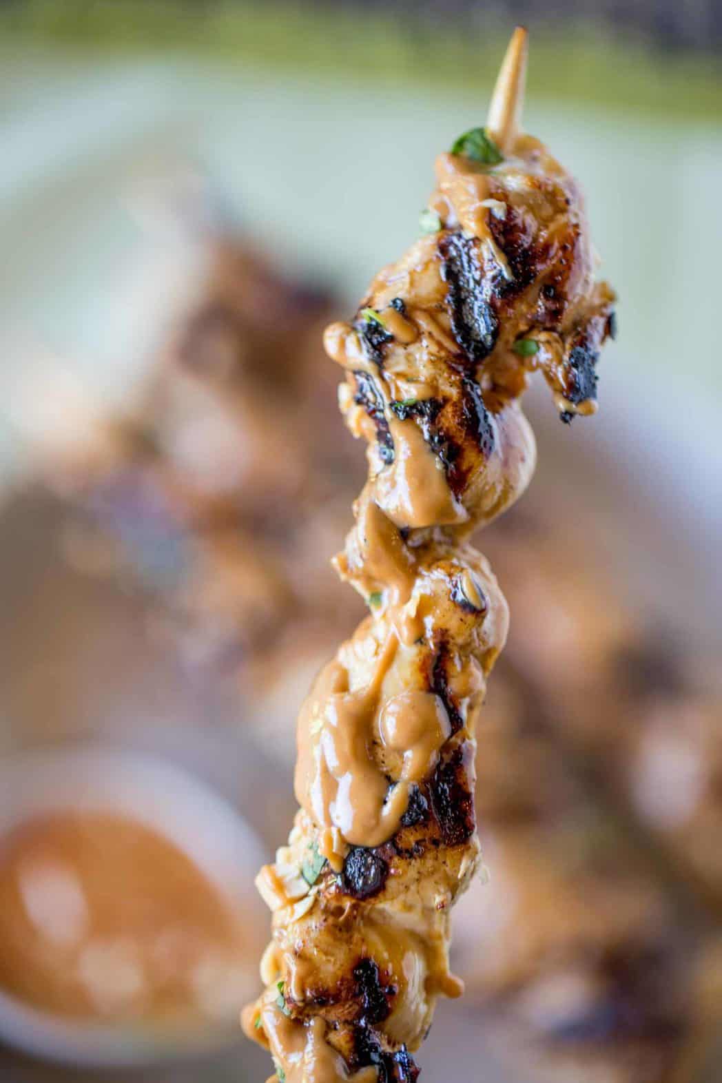 single chicken skewer held up above the platter