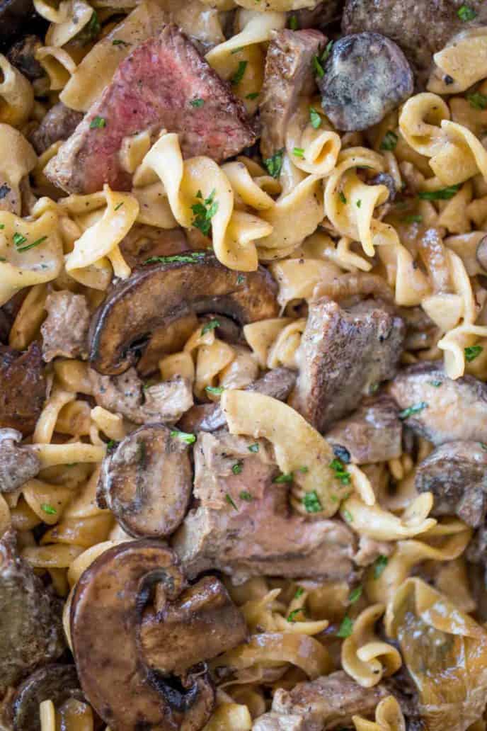 Up Close Ribeye Beef Stroganoff