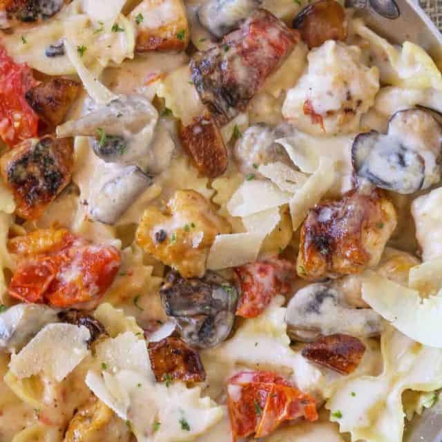 Close up of pasta with chicken and tomatoes