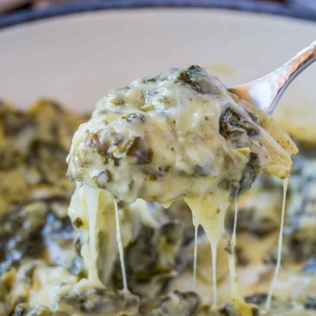spoonful of Dip Recipe