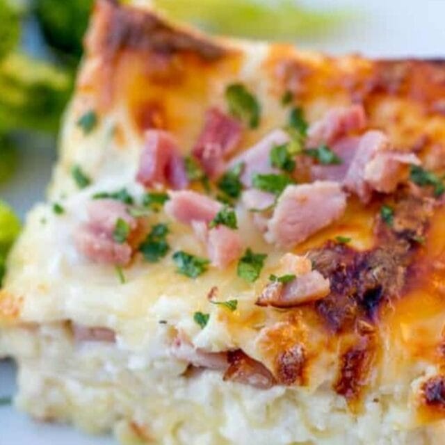 A slice of Lasagna