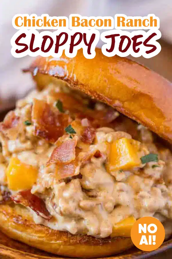 sloppy joes pin image