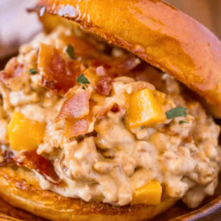 Chicken sloppy joe with bun askew