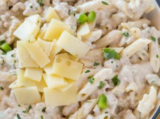 Creamy Turkey and Swiss Pasta
