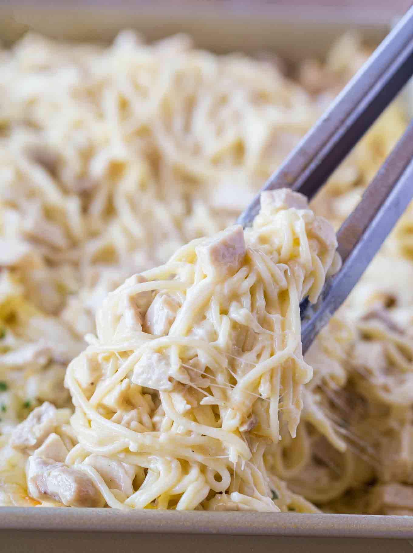 Best chicken tetrazzini recipe without mushrooms