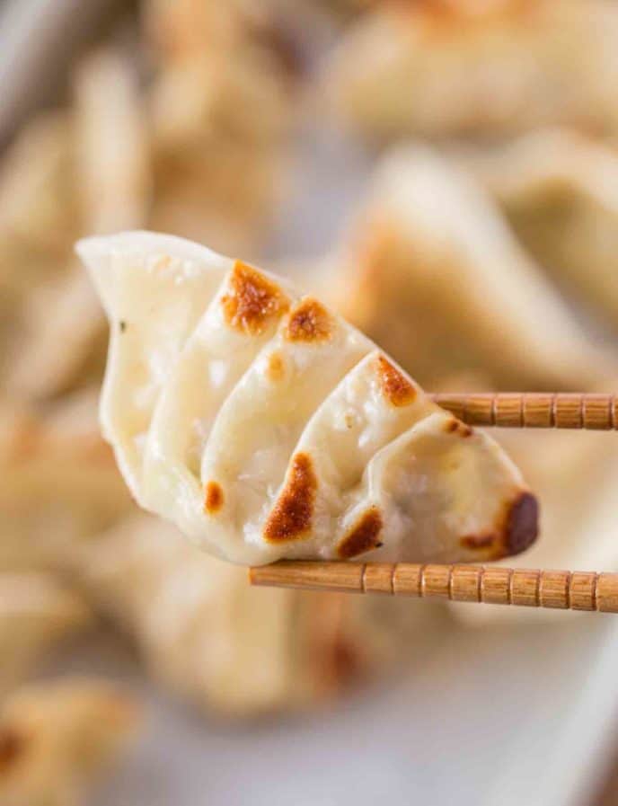 Chicken Potstickers with chopsticks