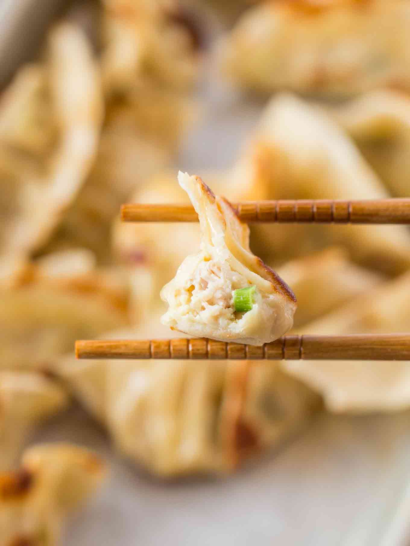 Homemade Potstickers Dinner, then Dessert