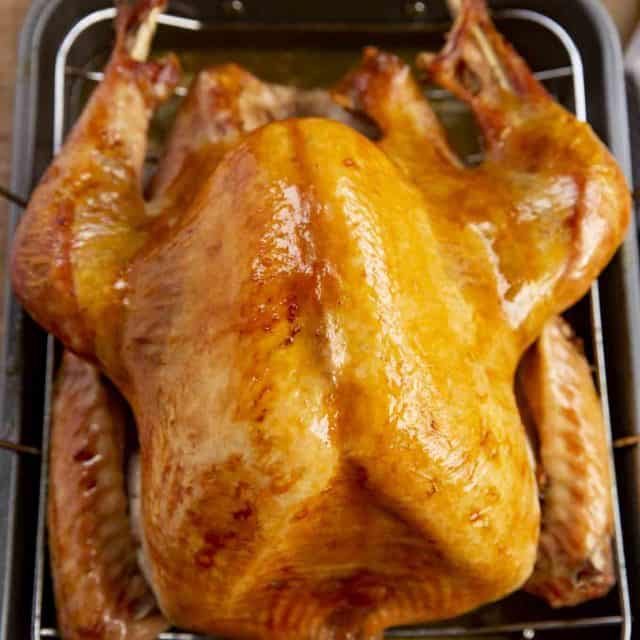 Roast Turkey in roasting pan after cooking
