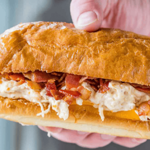 hand holding chicken sandwich