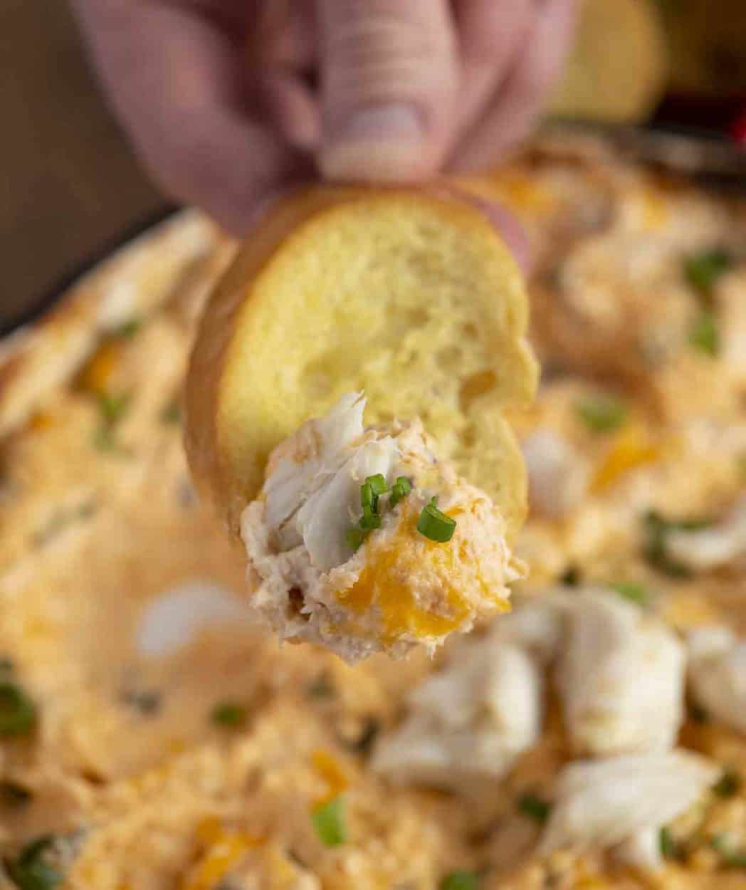 Creamy Cheesy Crab Dip Dinner, then Dessert