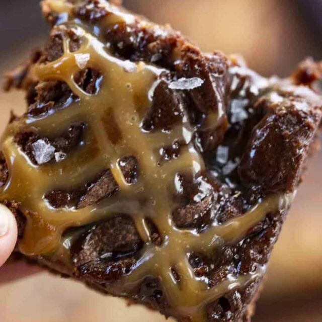 Rich Brownie held in hand