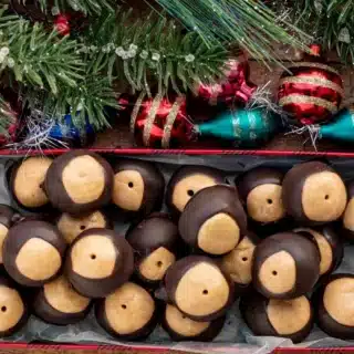 Balls in box for gifting with tree and ornaments