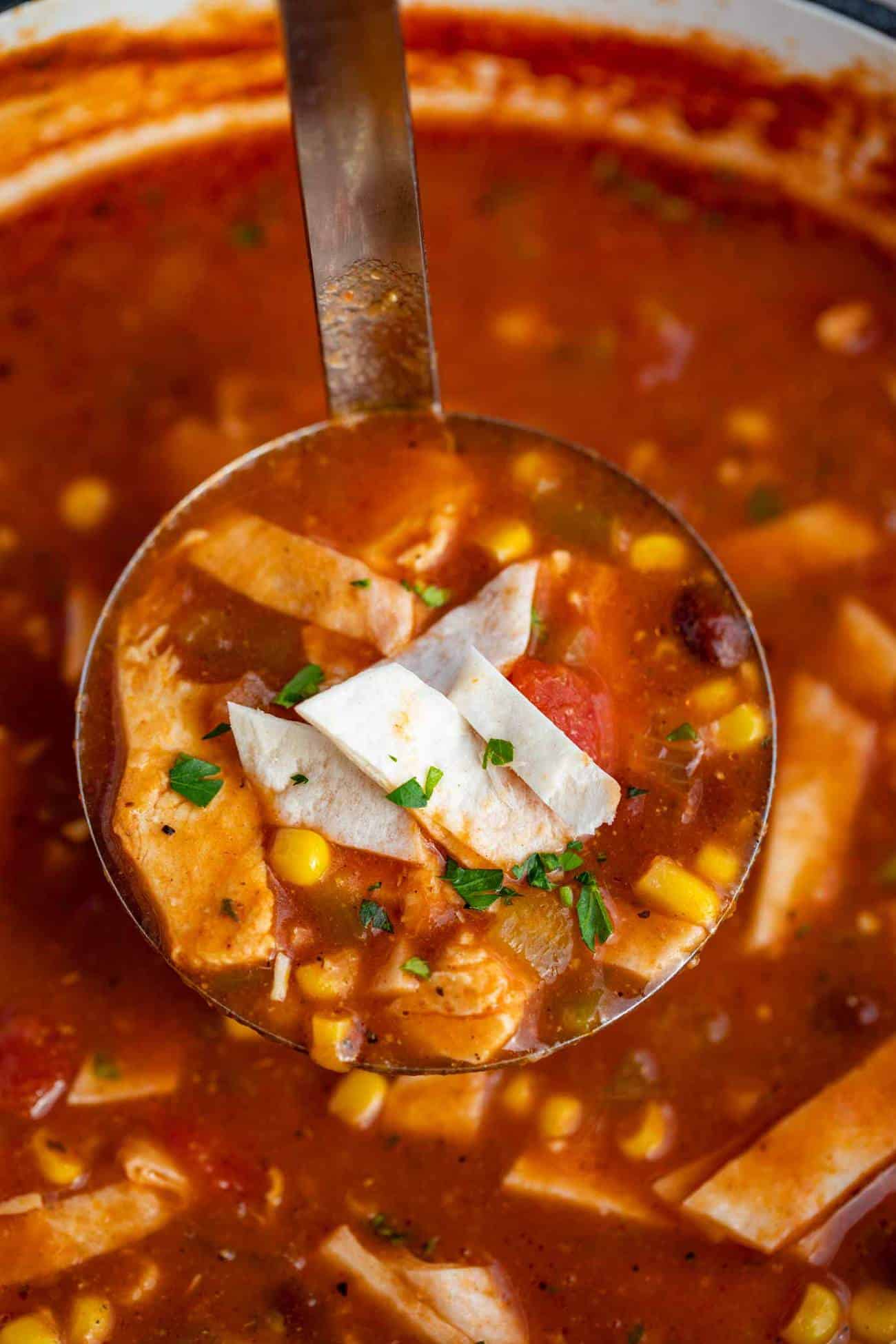 Chicken Tortilla Soup - Dinner, then Dessert