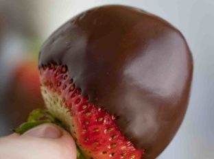 Chocolate dipped berries