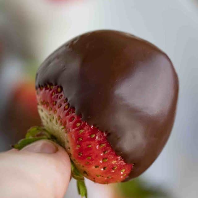 Chocolate dipped berries