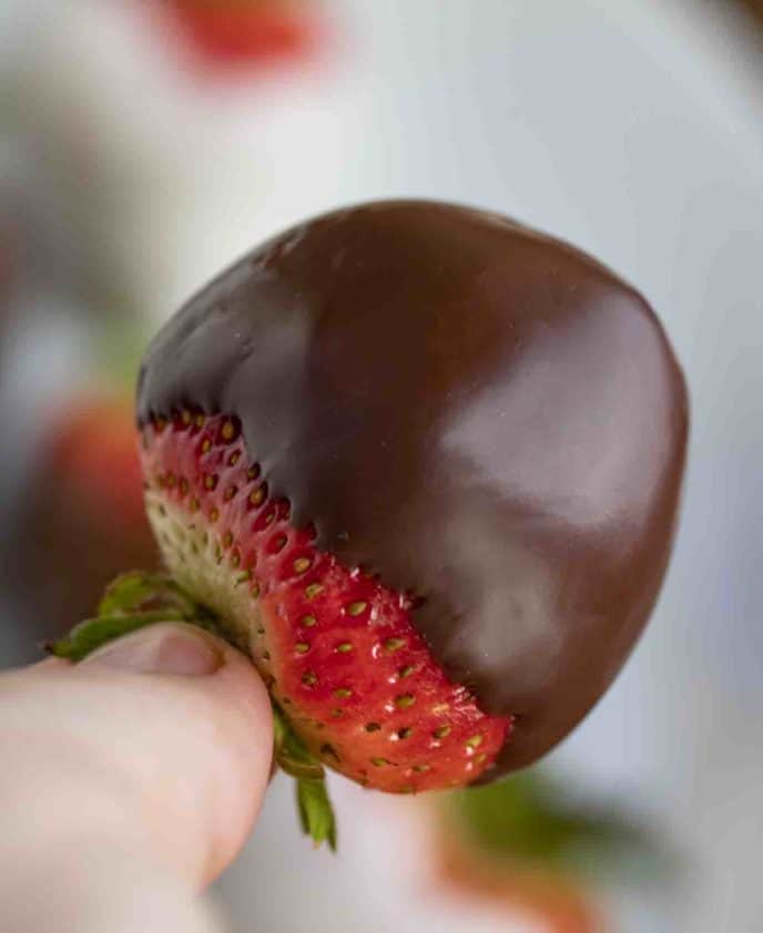 Chocolate dipped berries