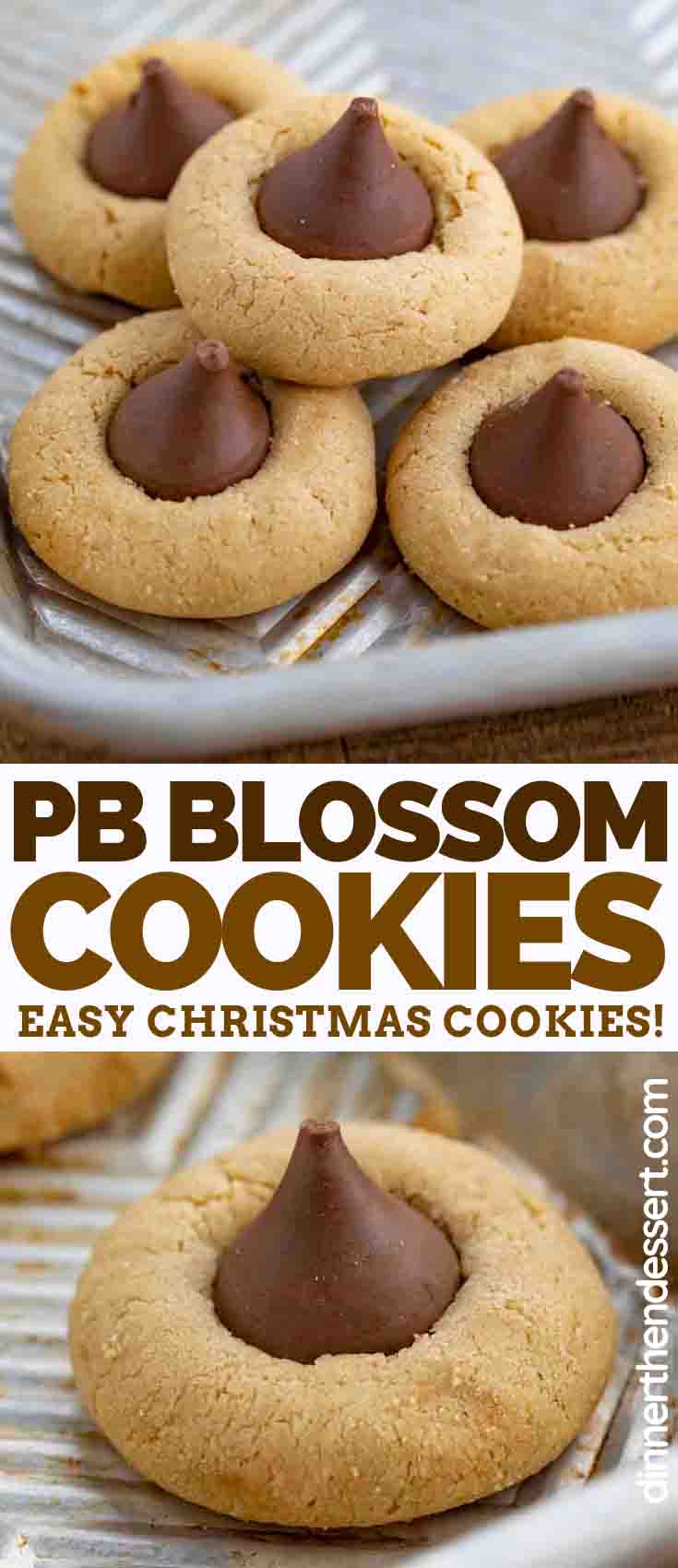 Peanut Butter Blossom Cookie Recipe (So Easy!) - Dinner, then Dessert