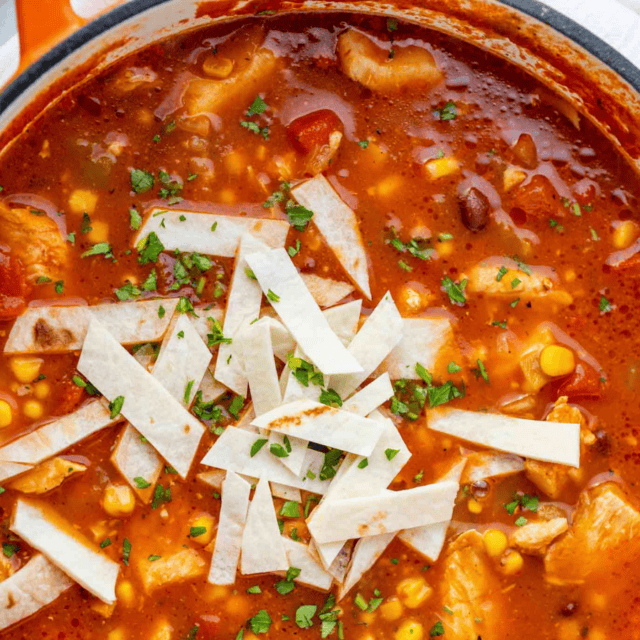 Pot of cooked soup garnished with tortilla strips and cilantro.