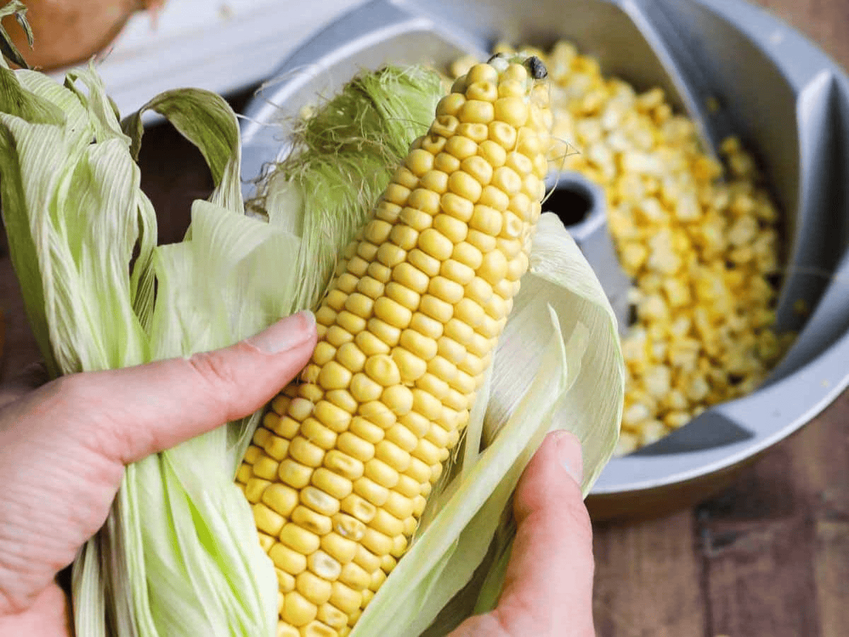 corn for recipe being shucked
