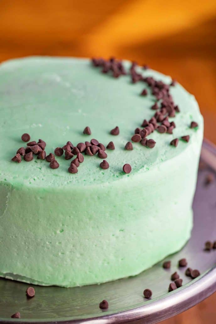 Grasshopper Cake with Mint and Chocolate
