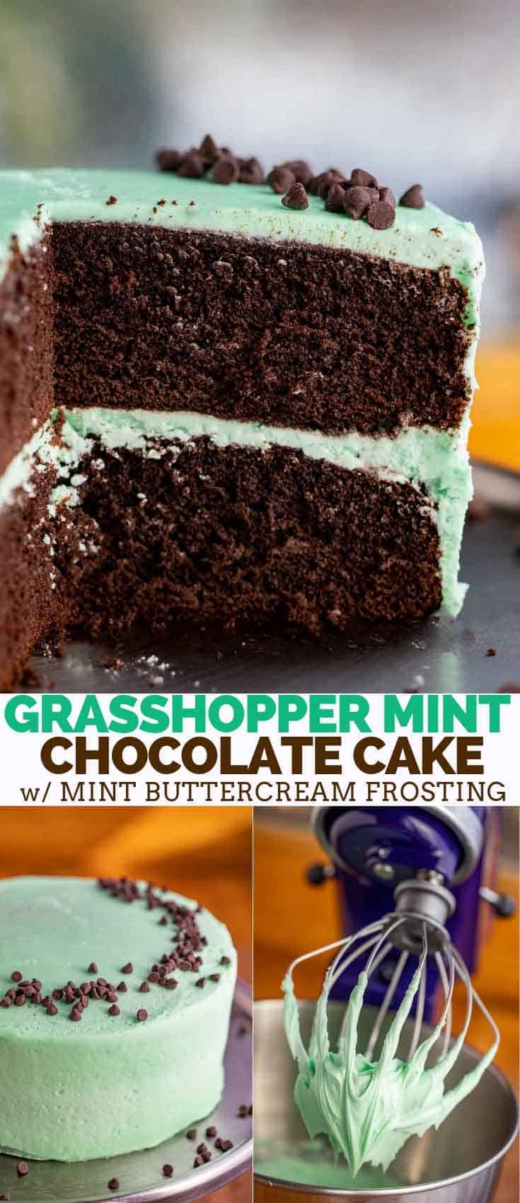 Peppermint Cloud Cake {Chocolate Cake with Sweet Peppermint Cream}