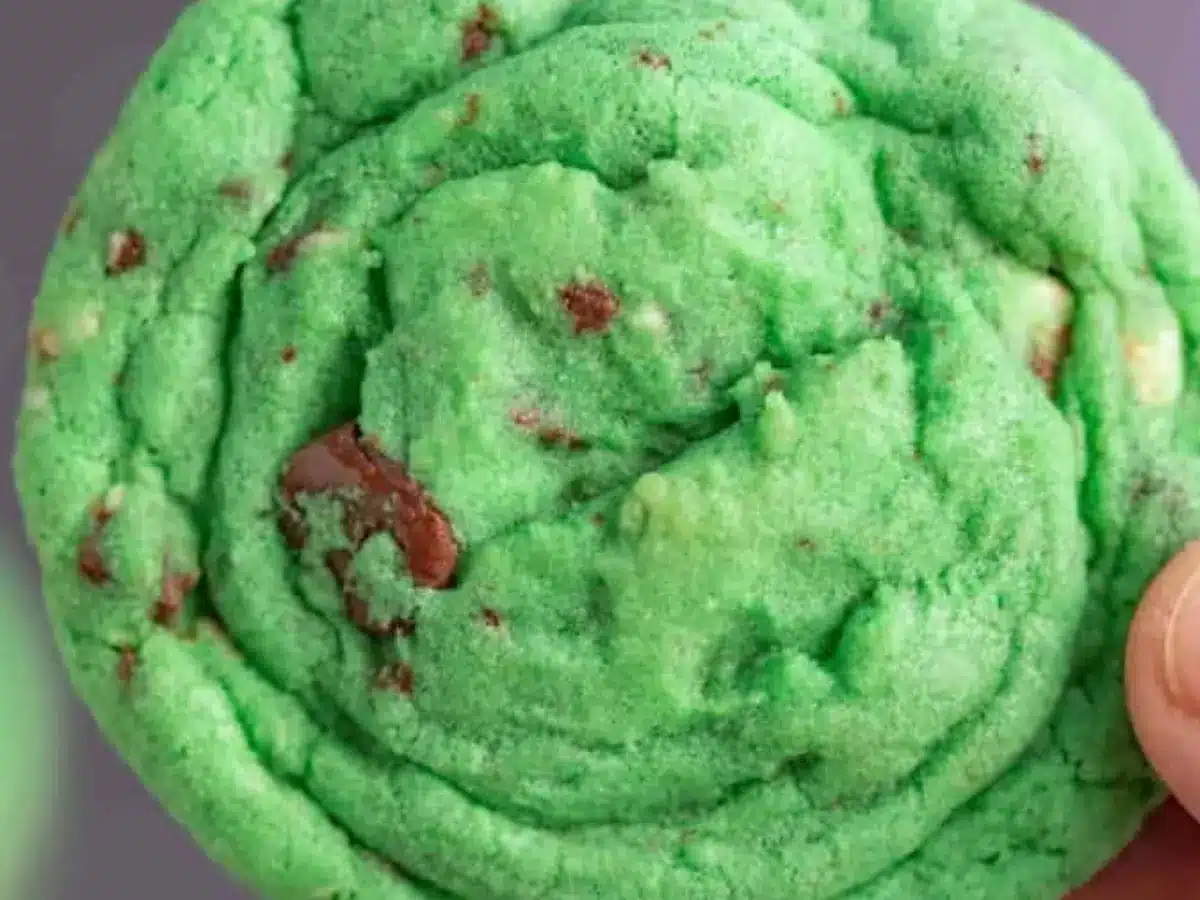 Top view of hand holding cookie