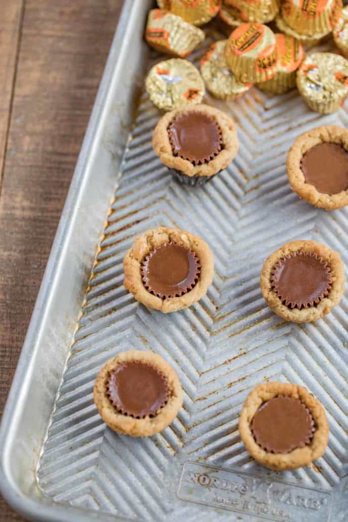 PB Cup Cookies