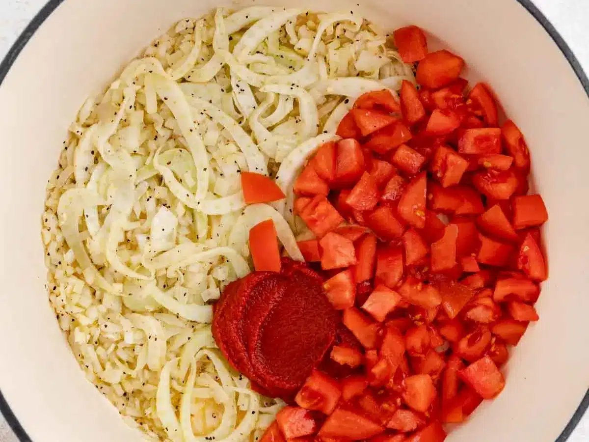 Raw diced onion, tomato, and tomato paste in large pot.